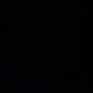 Meet your Posher, Kat